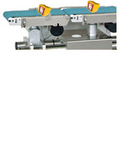 (CHECKWEIGHER)